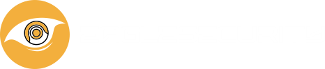 Eagle Security Logo